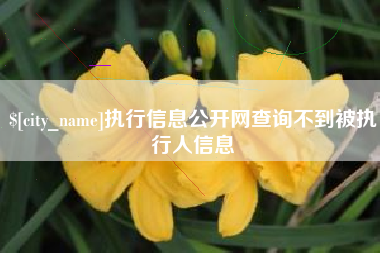 清徐执行信息公开网查询不到被执行人信息