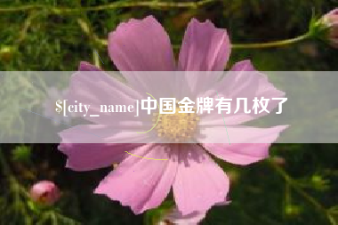 清徐中国金牌有几枚了