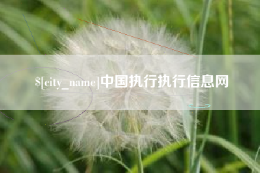 清徐中国执行执行信息网