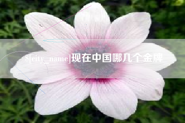 清徐现在中国哪几个金牌