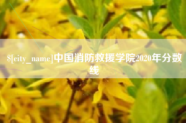 清徐中国消防救援学院2020年分数线