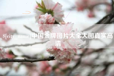 清徐中国金牌图片大全大图真实高清