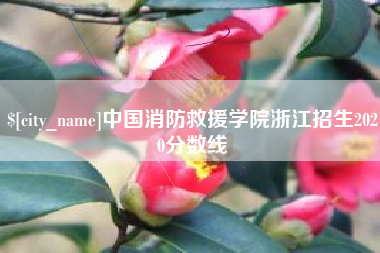 清徐中国消防救援学院浙江招生2020分数线