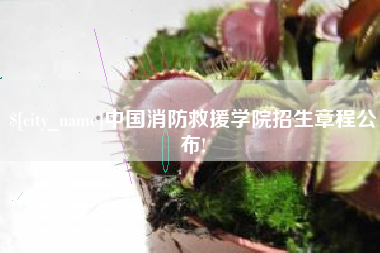 清徐中国消防救援学院招生章程公布!