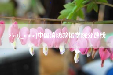 清徐中国消防救援学院分数线
