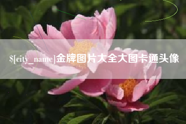 清徐金牌图片大全大图卡通头像