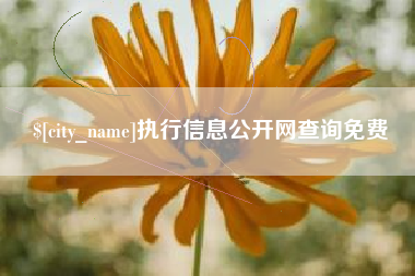 清徐执行信息公开网查询免费