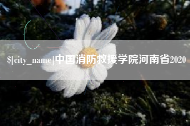 清徐中国消防救援学院河南省2020